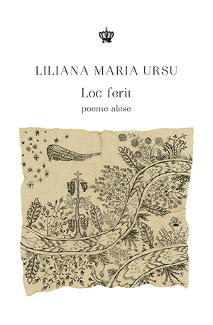 Loc ferit - Liliana Maria Ursu