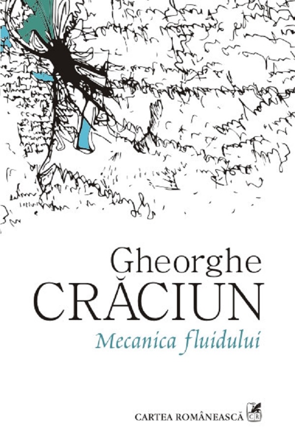 Mecanica fluidului - Gheorghe Craciun