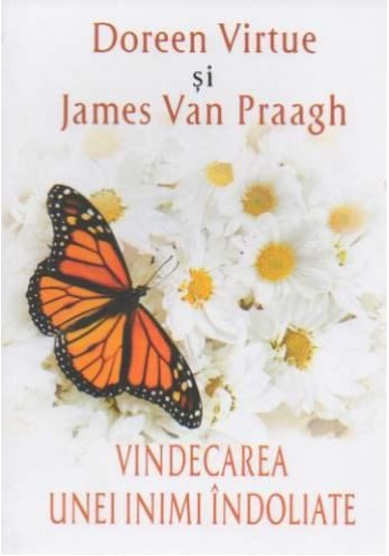 Vindecarea unei inimi indoliate - Doreen Virtue, James Van Praagh