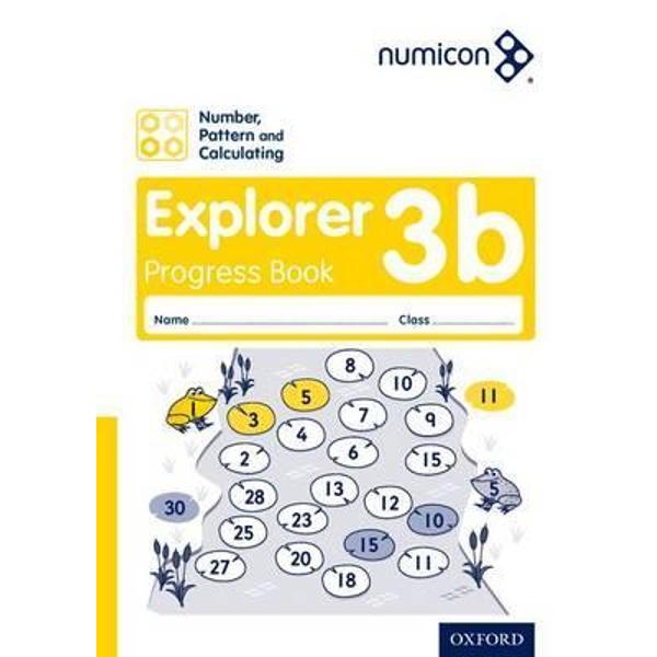 Numicon: Number, Pattern and Calculating 3 Explorer Progress