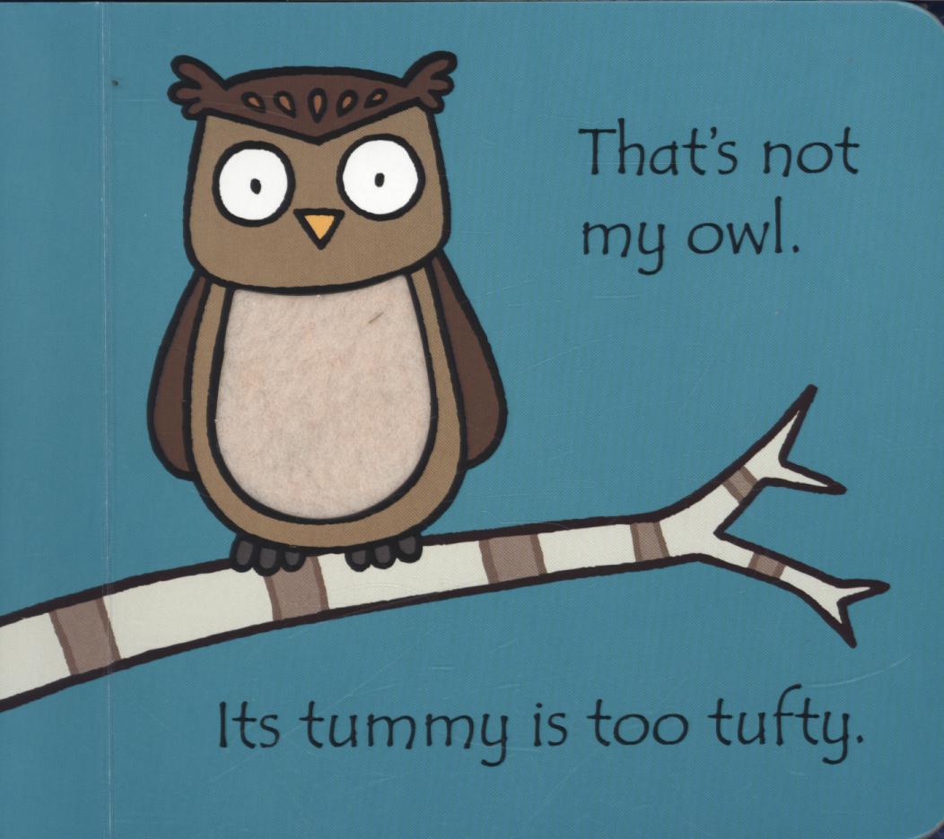 That's Not My Owl