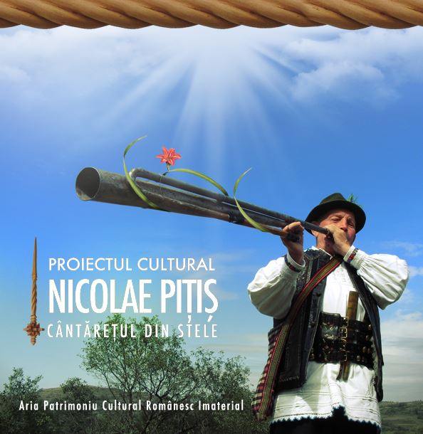CD Nicolae Pitis - Cantaretul din stele