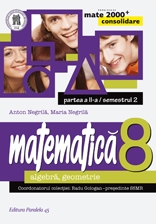 Manual matematica clasa 8 partea II Consolidare Ed.3 - Anton Negrila, Maria Negrila