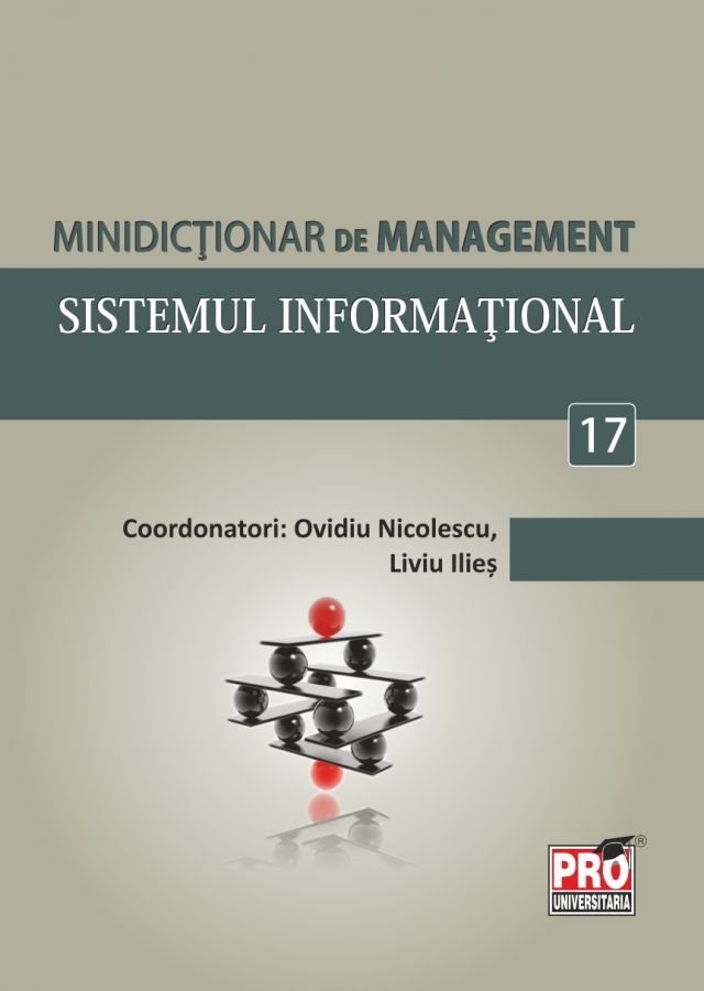 Minidictionar de management 17: Sistemul informational - Ovidiu Nicolescu