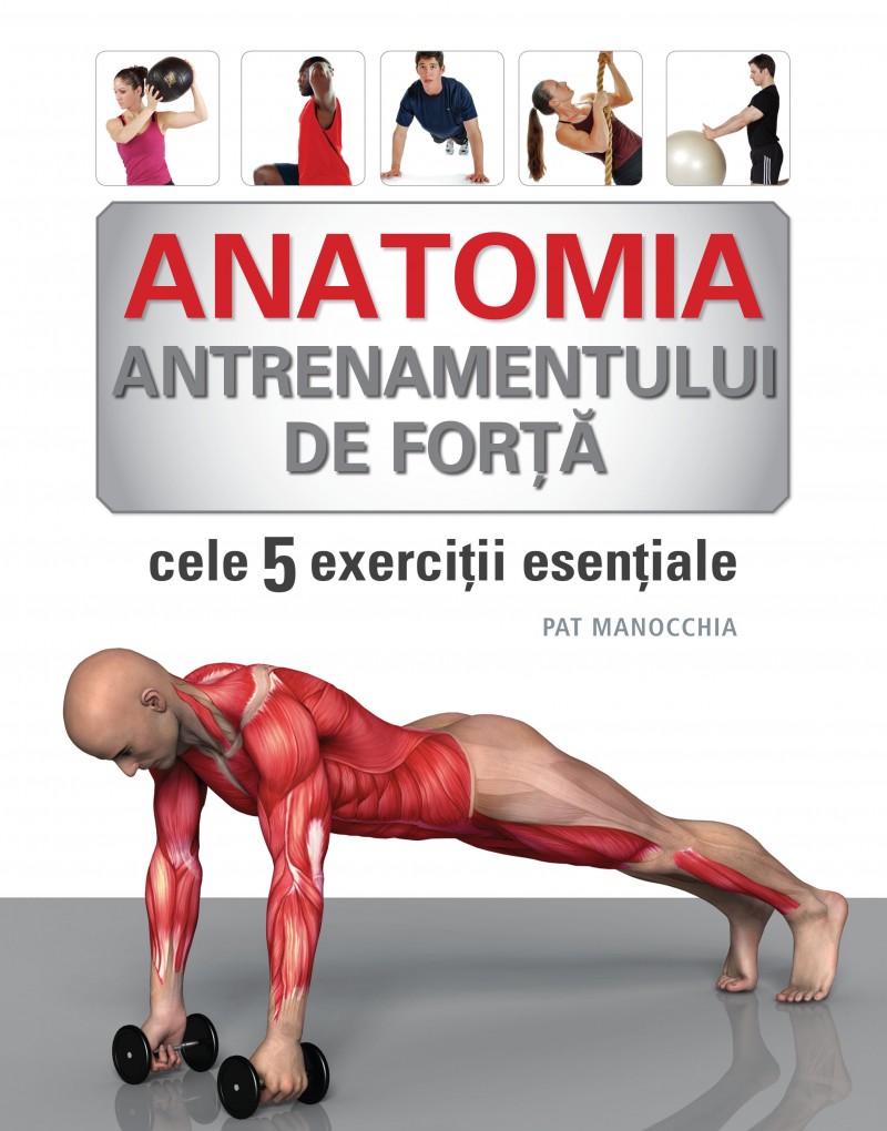 Anatomia Antrenamentului De Forta - Pat Manocchia