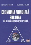 Economia Mondiala Sub Lupa - Florin Bonciu, Gabriela Baicu