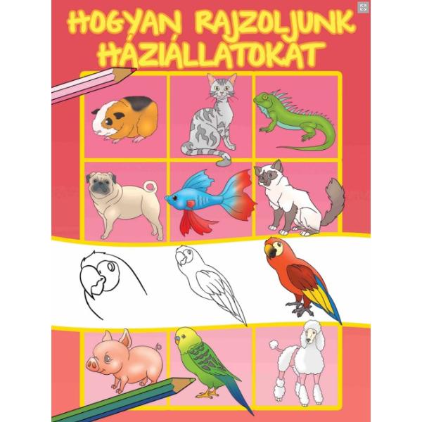 Cum sa desenam animale (lb. maghiara)