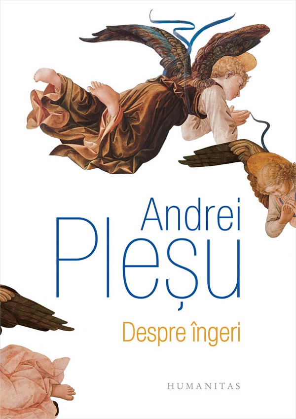 Despre ingeri (ed. de lux) - Andrei Plesu