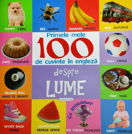 Primele Mele 100 De Cuvinte In Engleza - Despre Lume