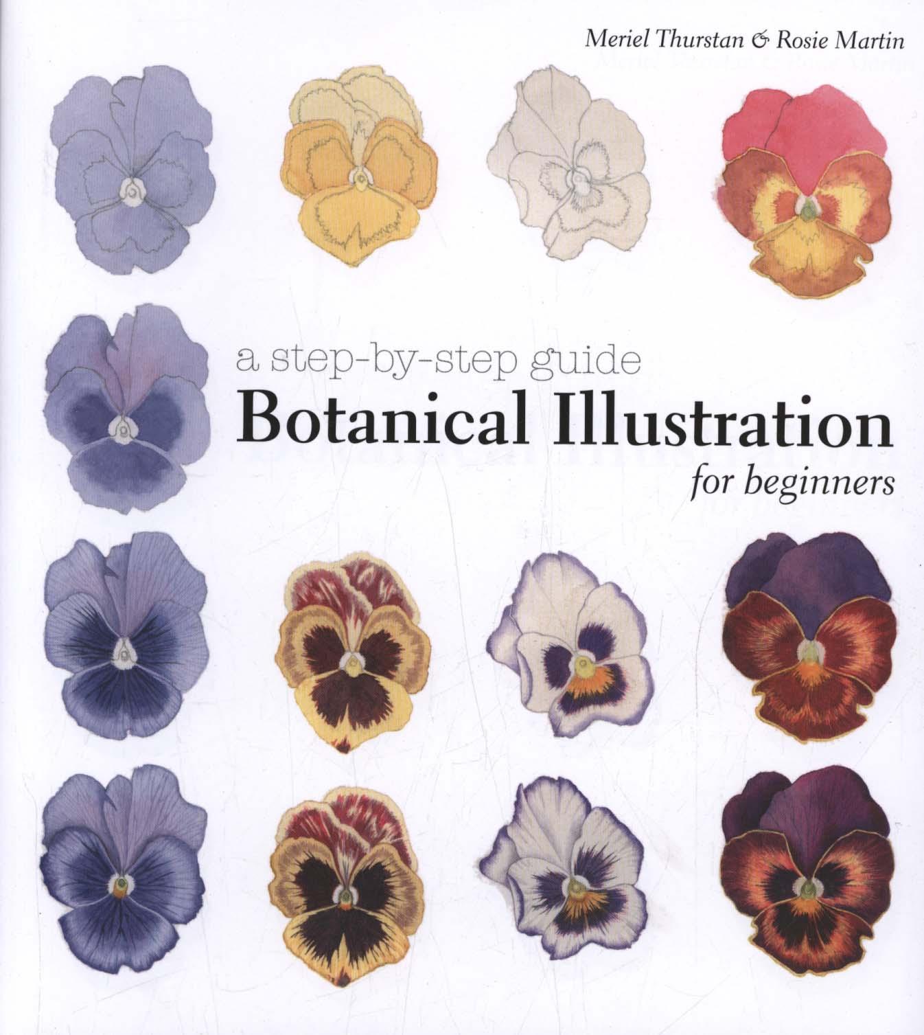Botanical Illustration for Beginners