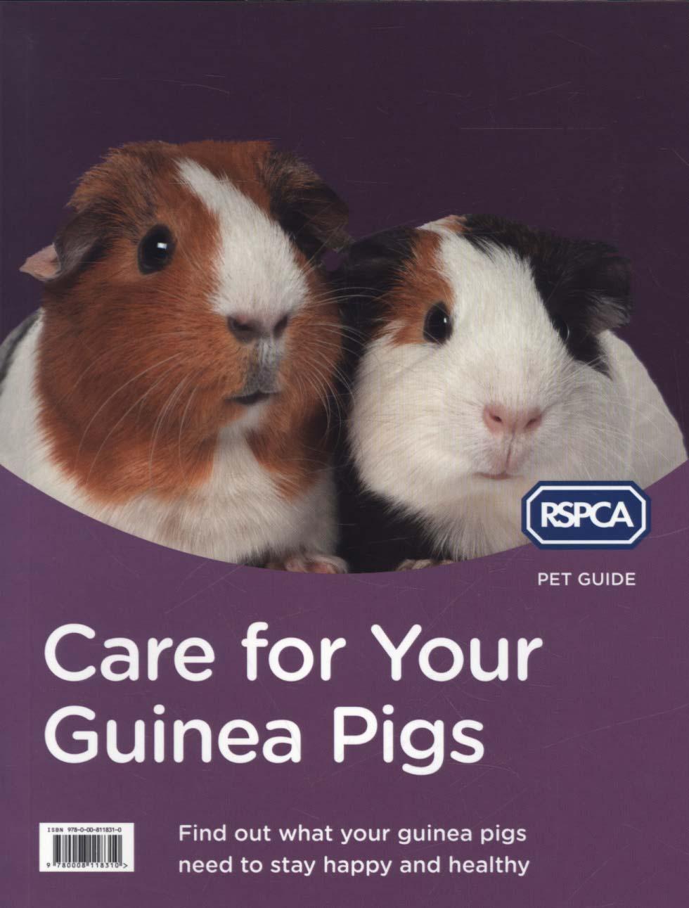 Care for Your Guinea Pigs
