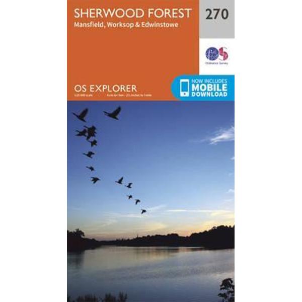 Sherwood Forest