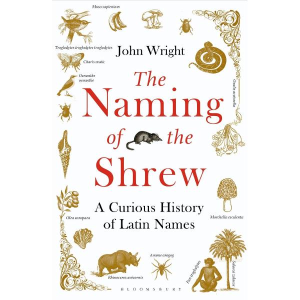 Naming of the Shrew