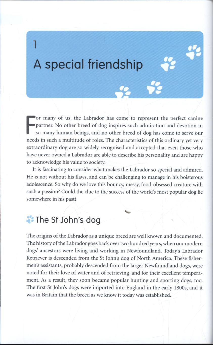Labrador Handbook