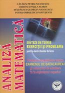 Analiza Matematica - Sinteze De Teorie. Exercitii Si Probleme - Catalin-Petru Nicolescu