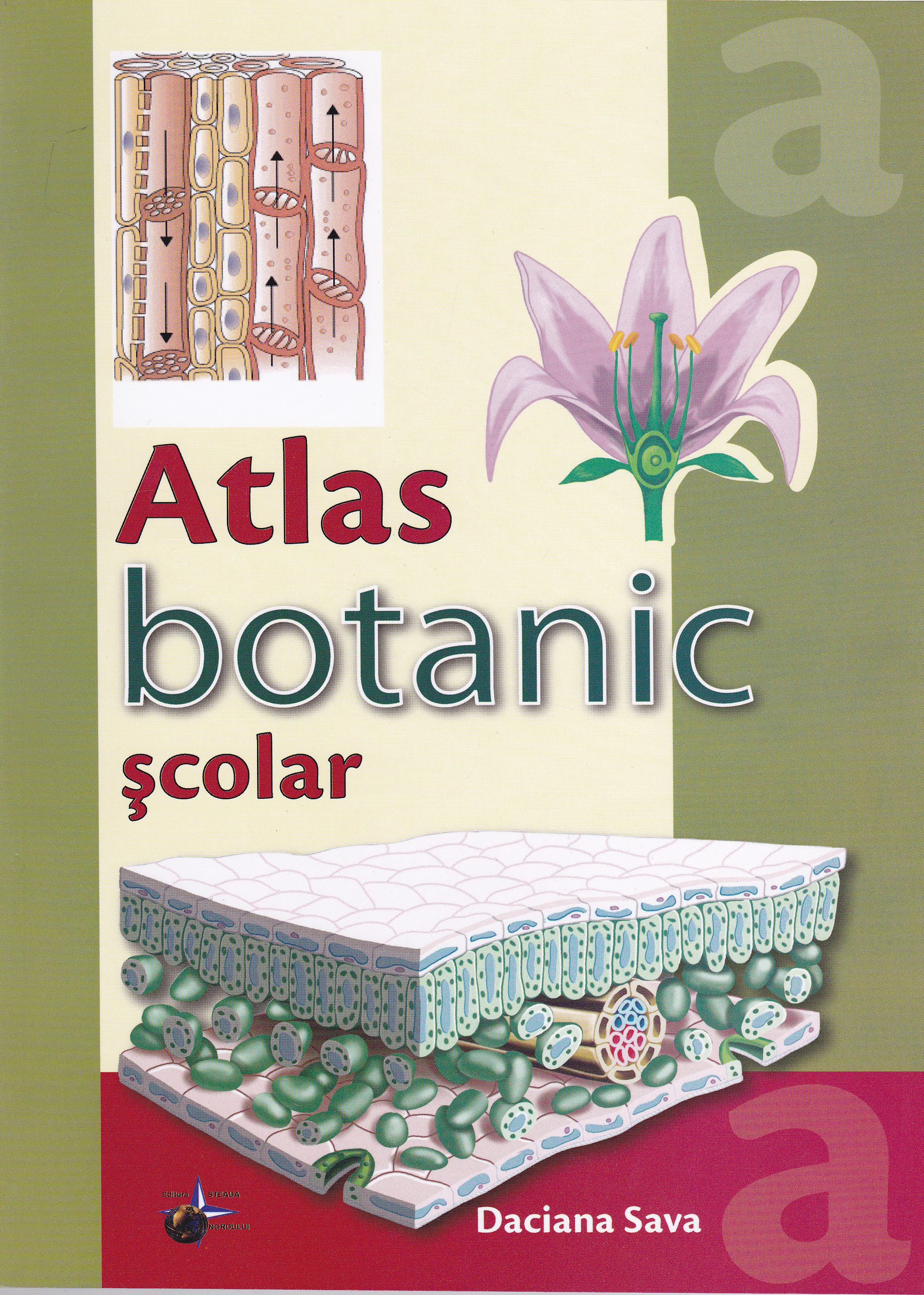 Atlas botanic scolar - Daciana Sava