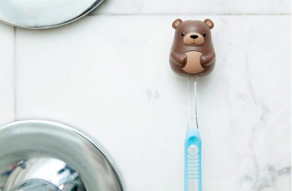 Suport periuta de dinti - Toothbrush holder bear