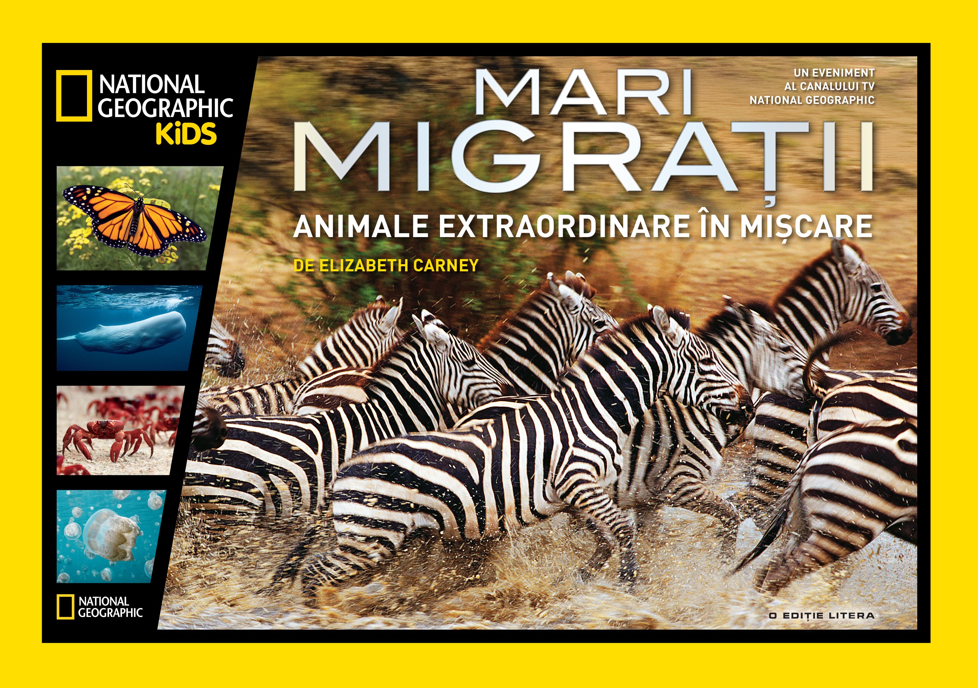 Mari migratii. Animale extraordinare in miscare - National Geographic Kids
