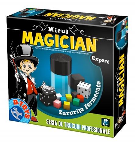 Micul Magician - Zarurile fermecate
