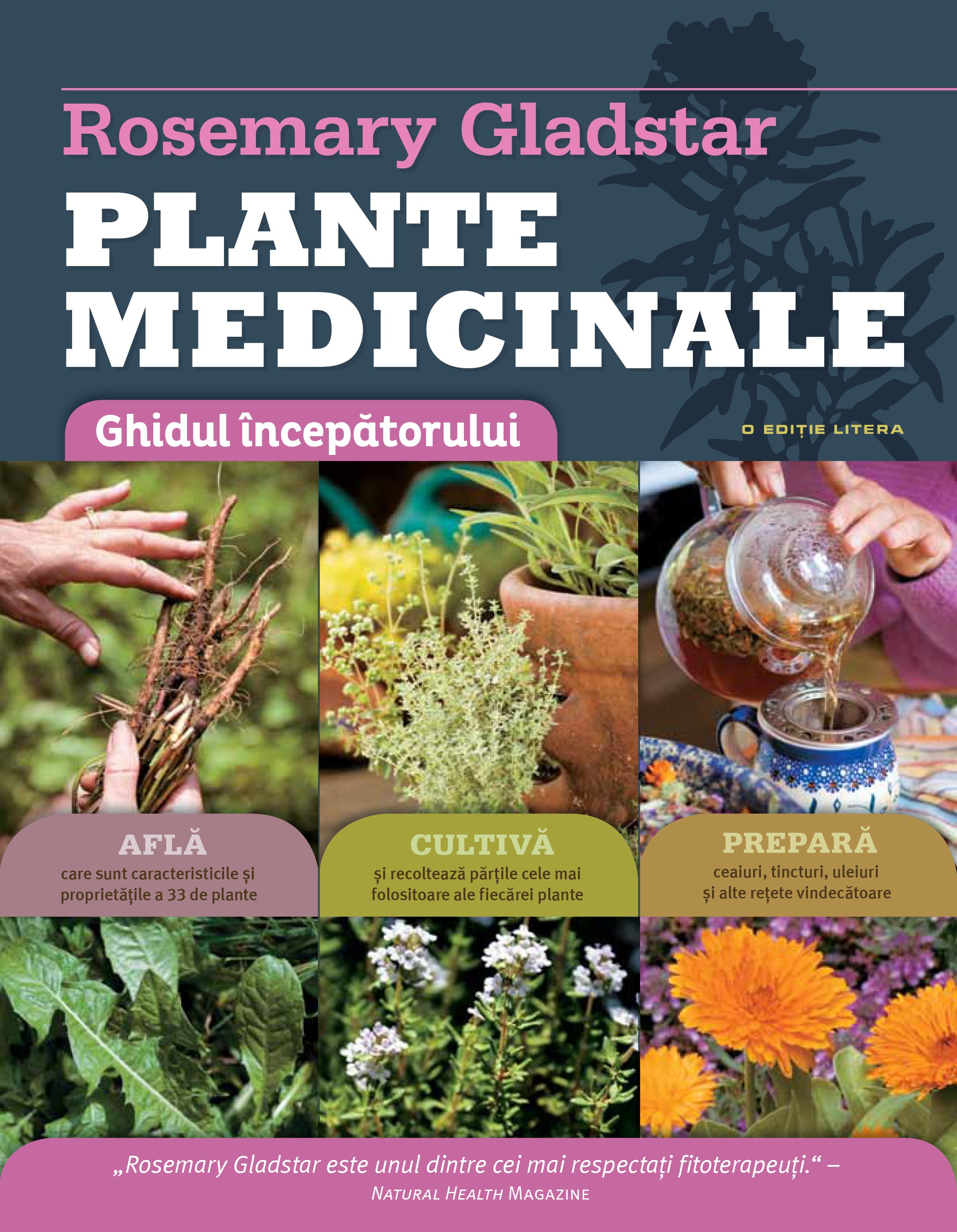 Plante medicinale. Ghid esential - Rosemary Gladstar