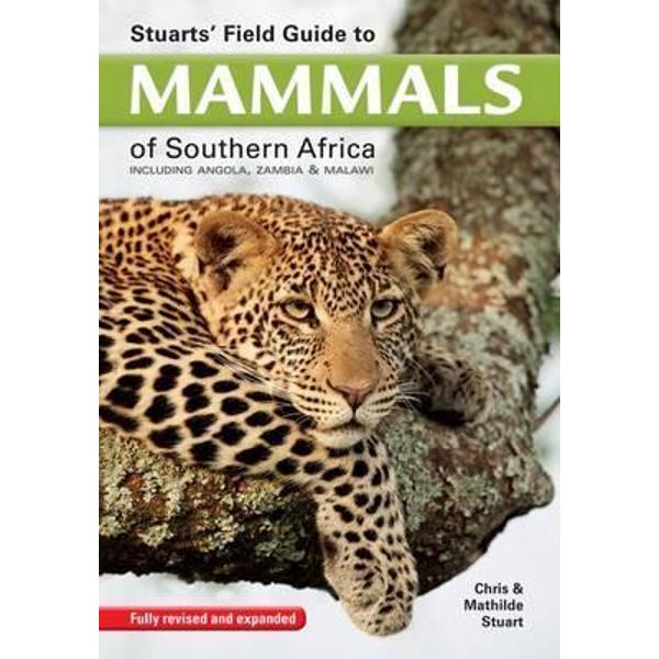 Field Guide to Mammals of South Africa