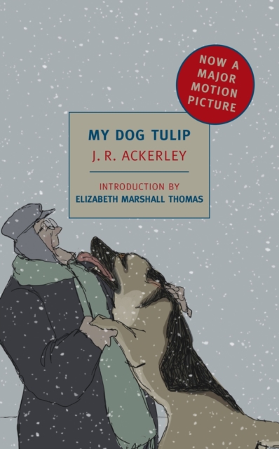 My Dog Tulip Movie Tie in
