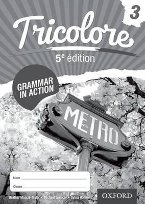 Tricolore Grammar in Action Workbook 3