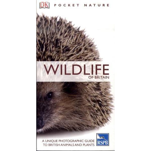 RSPB Pocket Nature Wildlife of Britain