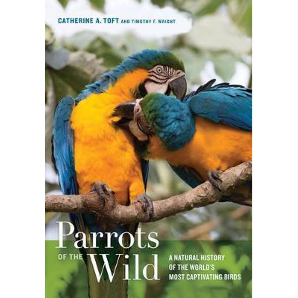 Parrots of the Wild - Timothy F. Wright, Catherine Ann Toft