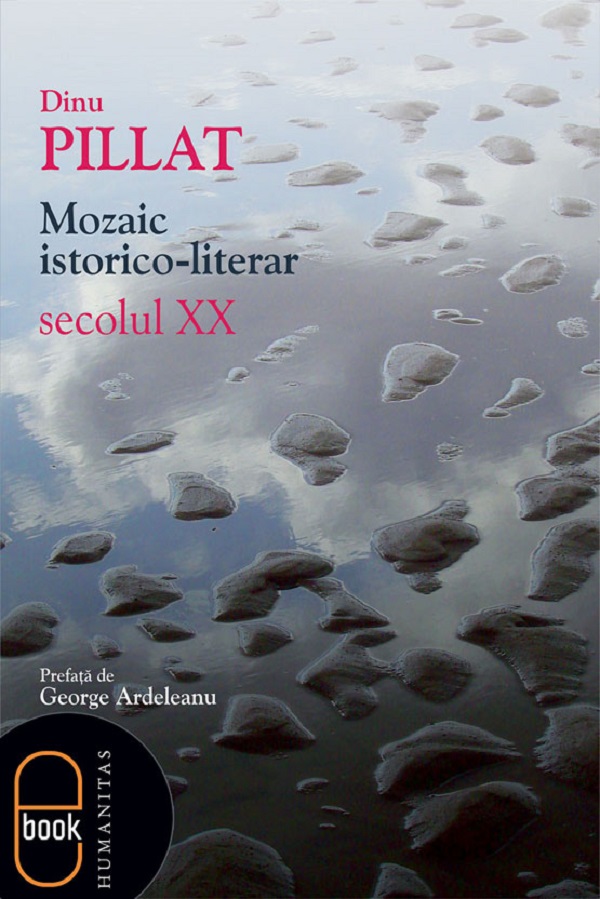eBook Mozaic istorico-literar. Secolul XX - Dinu Pillat