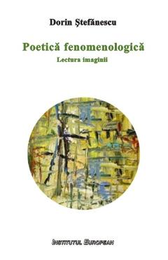 Coperta cărții Poetica fenomenologica - Dorin Stefanescu