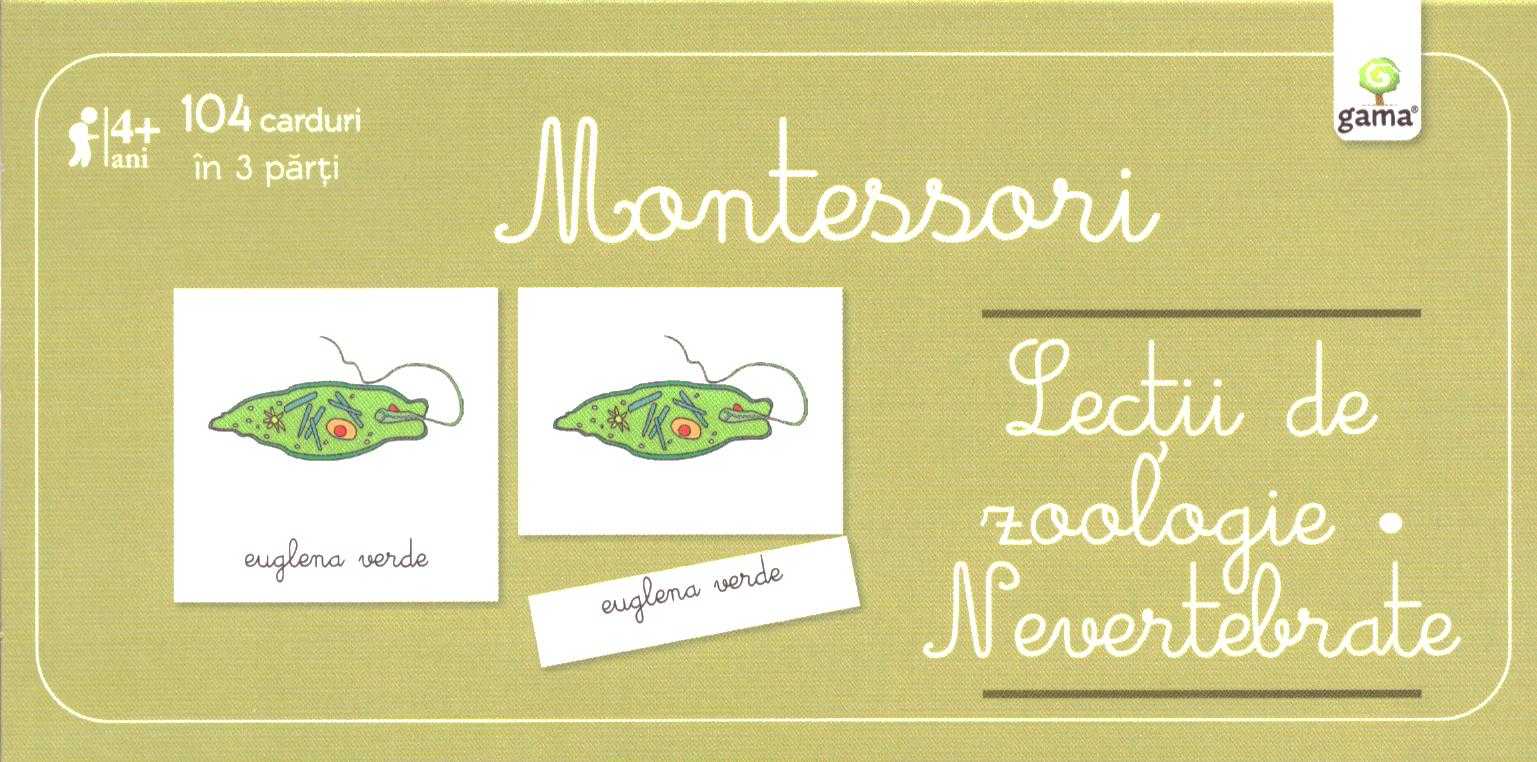 Lectii de zoologie. Nevertebrate - Montessori