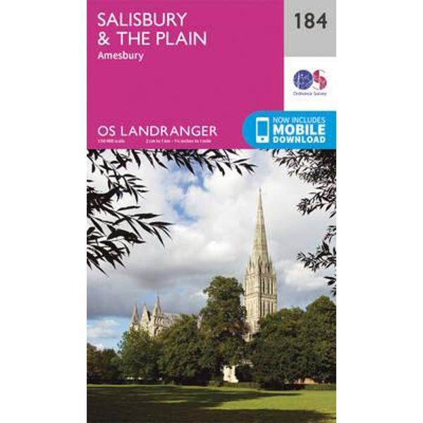 Salisbury & the Plain, Amesbury
