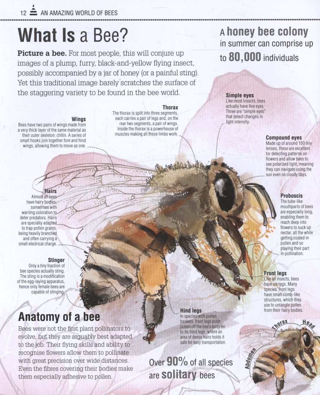 Bee Book