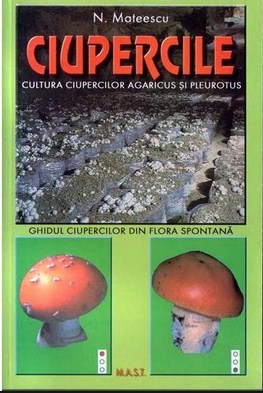 Ciupercile - N. Mateescu
