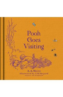 Coperta cărții 'Winnie-the-Pooh Pooh Goes Visiting'