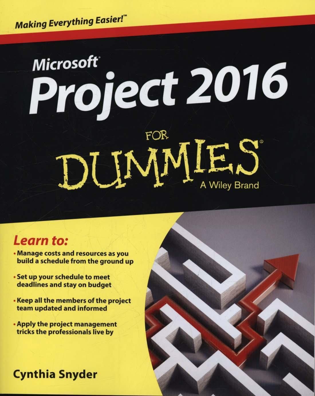 Project 2016 for Dummies