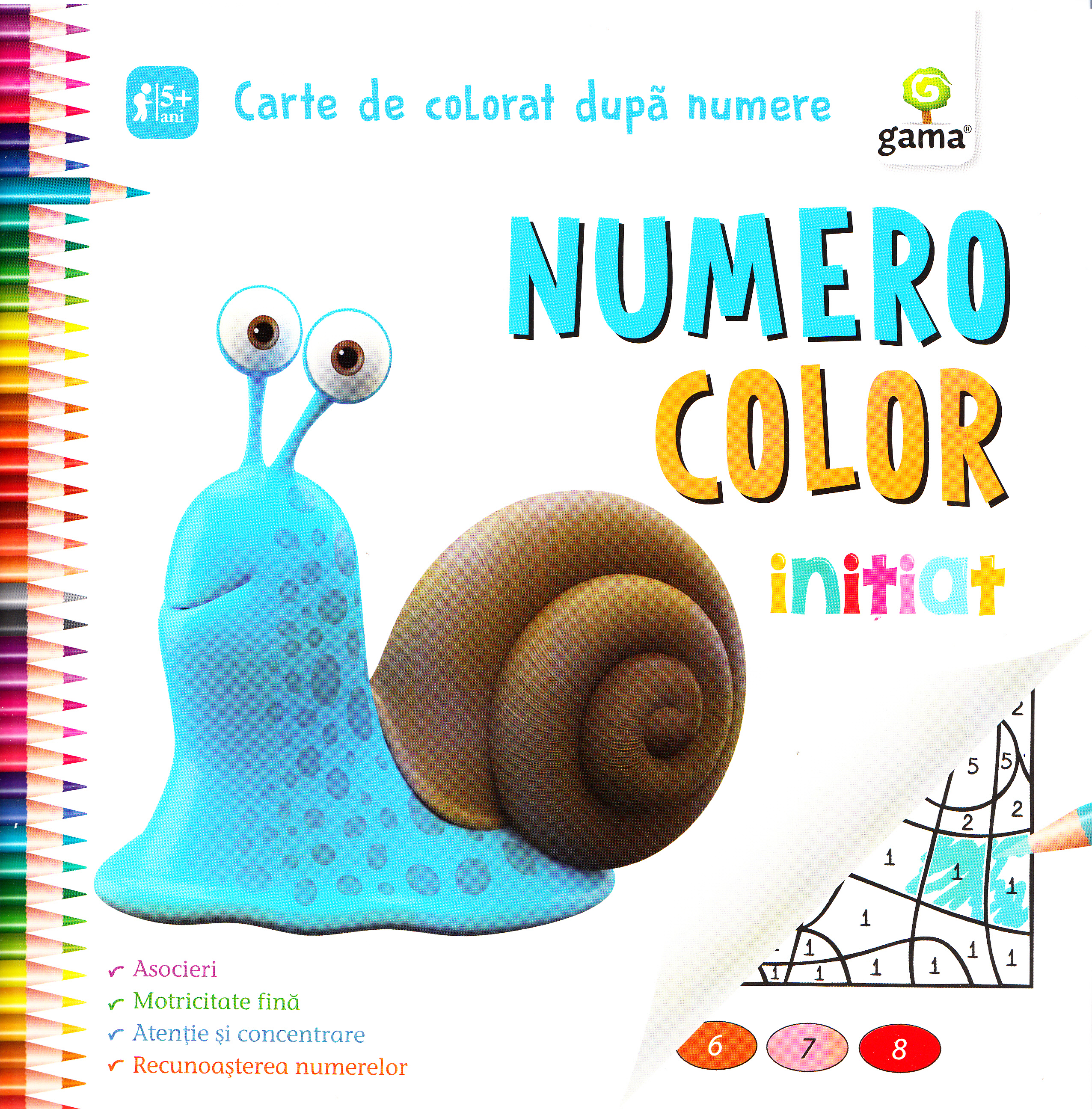 Numero Color initiat. Carte de colorat dupa numere