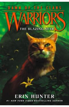 Blazing Star